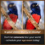 Cataracts Signs and Symptoms